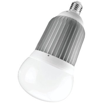 BULB BIG LED 4275L EDISON BASE