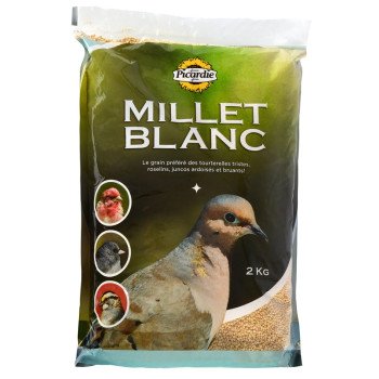 38102 2 KG WHITE MILLET 2KG   