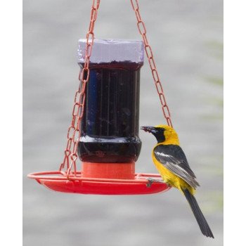 253 FEEDER ORIOLE JELLY       