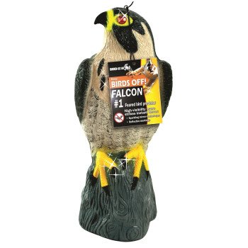 DECOY FALCON PLASTIC