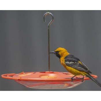 467-4 FEEDER ORIOLE FRUIT 16OZ