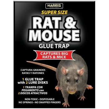 Harris BLKRAT-1 Rat and Mouse Glue Trap