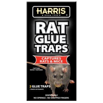 BLK-RG2 TRAP GLUE RAT PLST 2PK