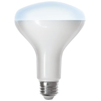 Feit Electric BR30/950CA/AG Smart Bulb, 8 W, Wi-Fi Connectivity: 2.4 GHz, Voice Control, Medium E26 Lamp Base