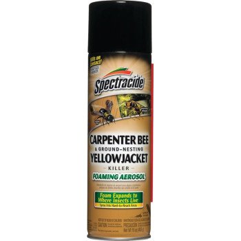 Spectracide 53371 Killer Foam, Liquid, Spray Application, 16 oz