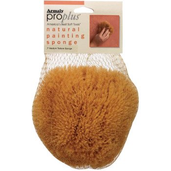 Armaly ProPlus 15216-7 Textured Painting Sponge, 5 in W, Medium