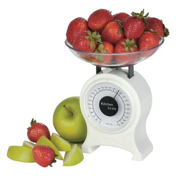 Thermor KS100 Diet Scale, 500 g Capacity, White