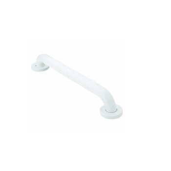 Moen R8924W Grab Bar, 500 lb, Stainless Steel, Glacier, Screw Mounting