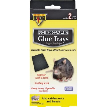 47030 RAT GLUE TRAP TRAY 2PK  