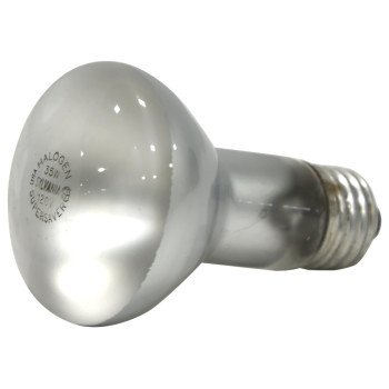 10077 35W R20 HALOGEN FLOOD   