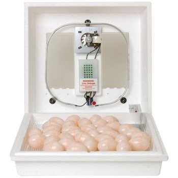 Little Giant 10300 Egg Incubator, 41 Large Chicken Eggs Egg, 99.5 deg F, Styrofoam