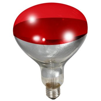 Miller 170024 Bulb, 120 V, 250 W