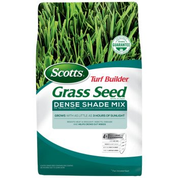 18338 SEED GRASS DENSE SHADE 3