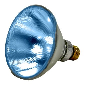 16663 BULB 90W PAR38 HAL BLUE 