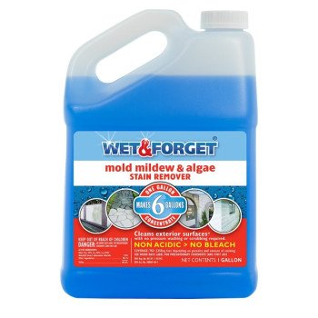 800066CA WET AND FORGET 1GAL  