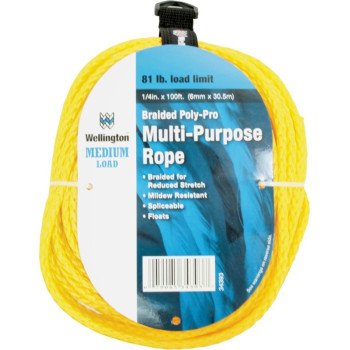 34393 BRAID POLY ROPE1/4X100FT