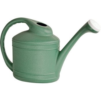 Southern Patio WC8108FE Watering Can, 2 gal Can, Resin, Fern