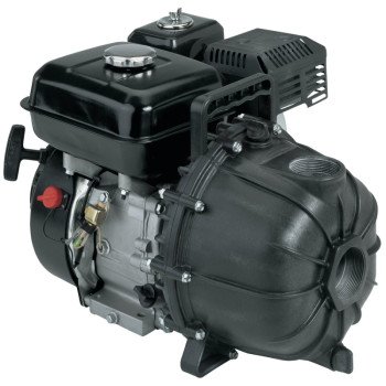 FP5455-01 DR PUMP GAS 6.5 HP  