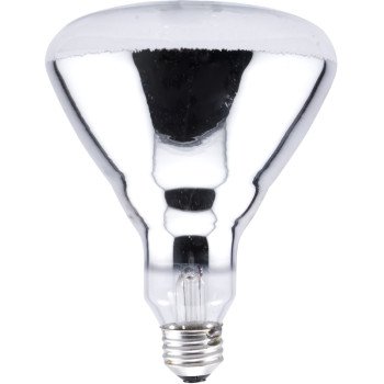 15451 BULB INCAN BR40 CLR 125W