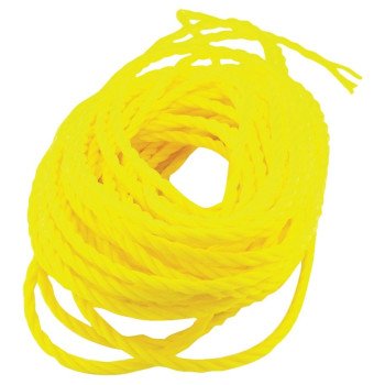 16360 POLY ROPE 1/4X100FT     