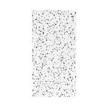 USG R2310/290 Ceiling Panel, 4 ft L, 2 ft W, 5/8 in Thick, Fiberboard, White