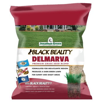 Jonathan Green Black Beauty Delmarva Series 10391 Grass Seed, Mid-Atlantic, 7 lb Bag