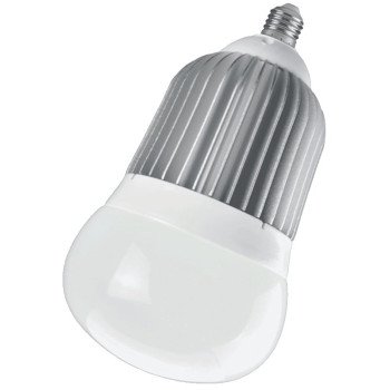 BULB BIG LED 2570L EDISON BASE