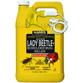 Harris HBXA-128 Beetle and Box Elder Bug Killer, Liquid, Spray Application, 128 oz