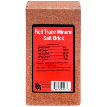 Roto Salt Champion's Choice 110004997 Trace Mineral Salt Brick, 4 lb