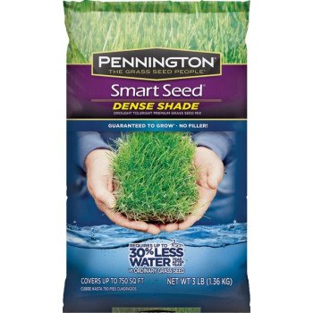 SEED DENSE SHADE MIX-C 3LB