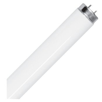 Feit Electric F40CWX/2 Fluorescent Bulb, 40 W, T12 Lamp, G13 Lamp Base, 2600 Lumens, 4100 K Color Temp