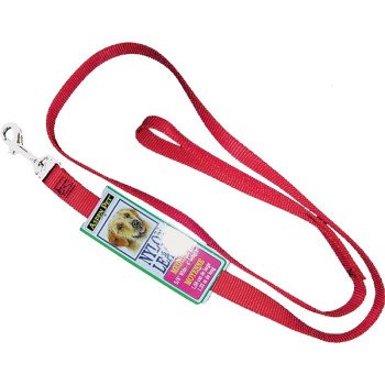 PETMATE 15006 Pet Leash, 4 ft L, 5/8 in W, Red