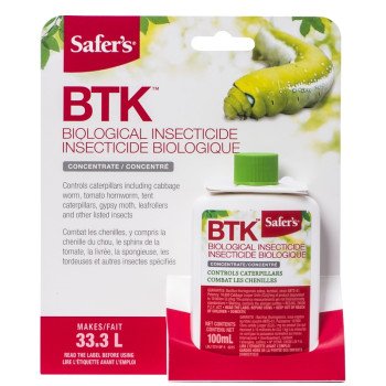 17-2110CAN INSECTICIDE 100ML  