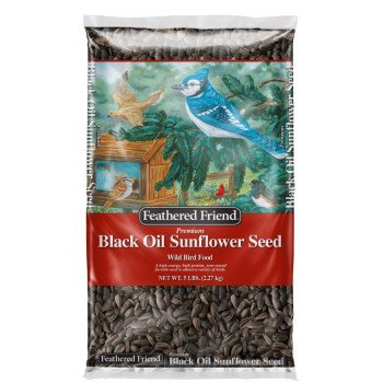 Feathered Friend 14416 Black Oil Sunflower Seed, 5 lb