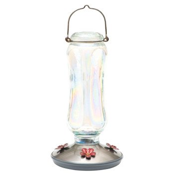 Perky-Pet 8132-2 Bird Feeder, 16 oz, 4-Port/Perch, Glass, Clear, 12 in H, Hanging Mounting