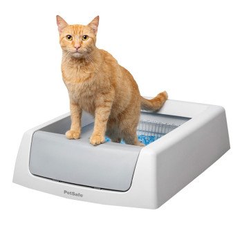 PetSafe ScoopFree PAL00-17296 Litter Box, 20.4 in W, 29 in D, Plastic