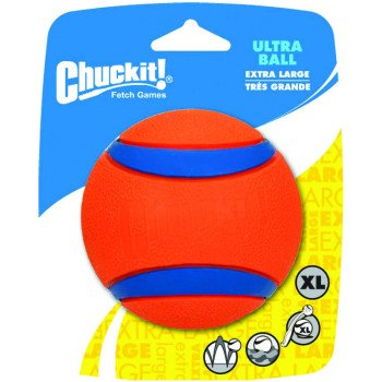 Chuckit! 170401 Dog Toy, XL, Rubber, Blue/Orange