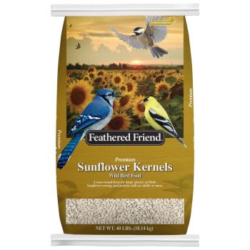 14190 SUNFLOWER KERNELS       