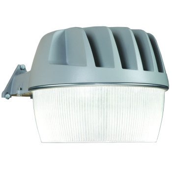 AL3050/2550LPCGY AREA LIGHT   