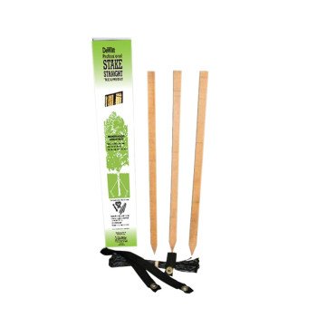 DeWitt PSS Tree Stakes Kit, 32 in L, Hardwood