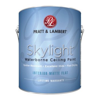 0000Z1251-16 PAINT CEILING FLT