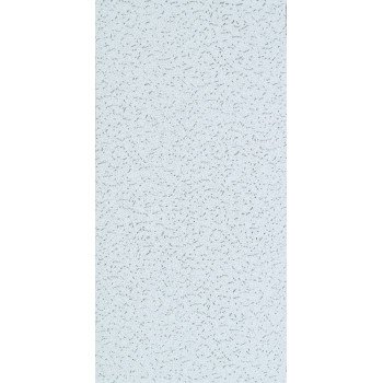 USG Fifth Avenue 220 Ceiling Panel, 4 ft L, 2 ft W, 5/8 in Thick, Mineral Fiber, White