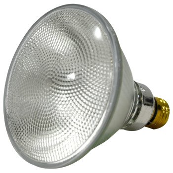 FLOODLIGHT HALOGEN PAR38 60W