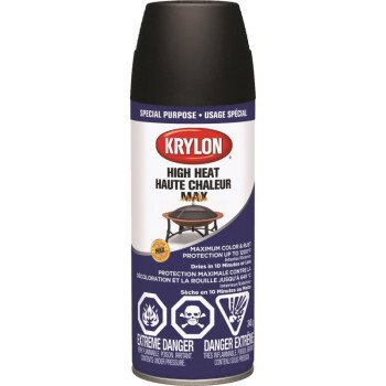 Krylon 41607 Spray Paint, Black, 12 oz, Can