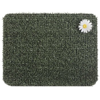 Grassworx 10372027 Door Mat, 24 in L, 18 in W, Rectangular, Forest Green