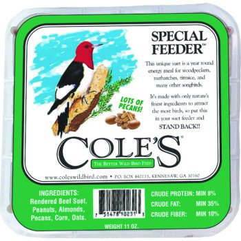 Cole's Special Feeder SFSU Suet Cake, 11 oz