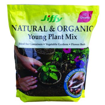 G712-48 YOUNG PLANT MIX 12QT  