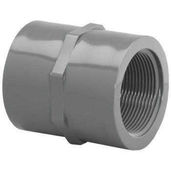 Lasco 830012BC Pipe Coupling, 1-1/4 in, FIP, PVC, SCH 80 Schedule