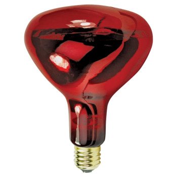 Feit Electric 250R40/10 Incandescent Lamp, 250 W, R40 Lamp, Medium E26 Lamp Base, Red Lamp, 2000 hr Average Life