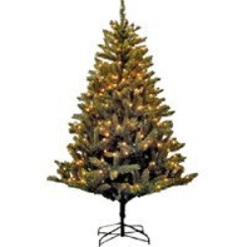 6FT NORTHWOOD FIR PRELIT CLEAR